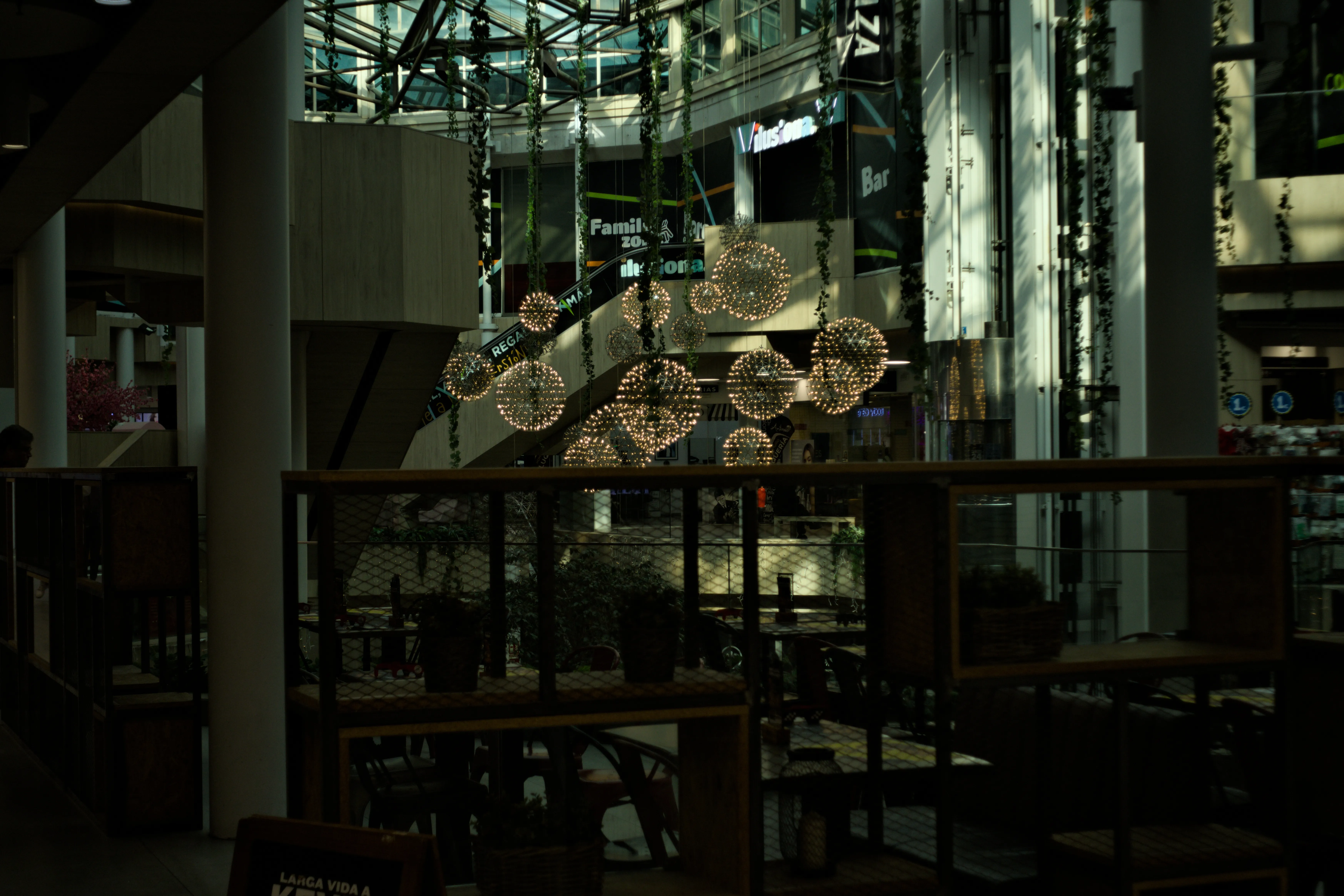 Meyer-Optik Görlitz Primagon 35mm f4.5 (M42) - _I4A4623.webp